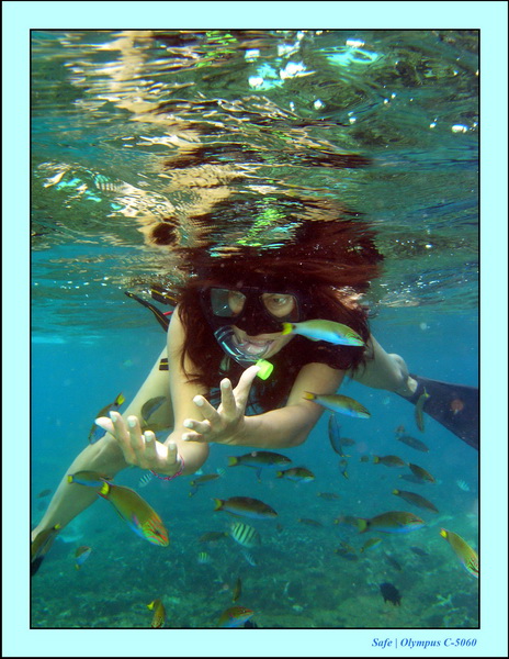 2005 - 08 - Redang  - 190.JPG